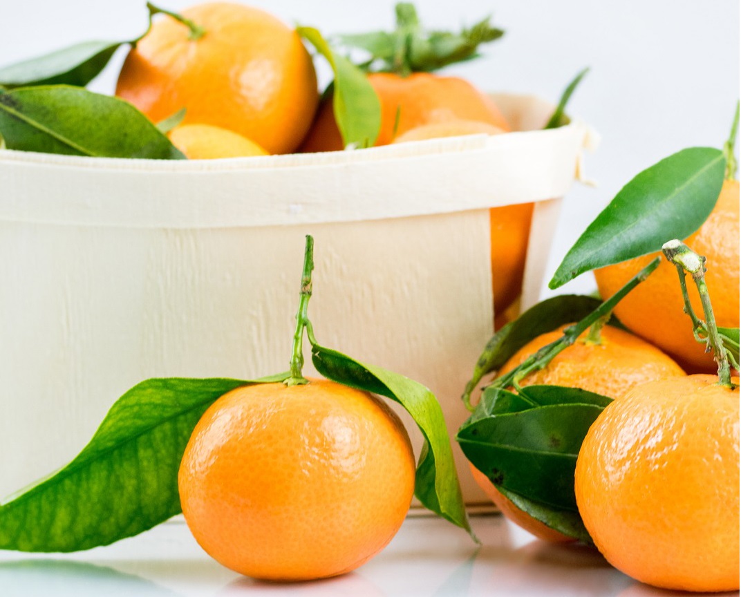 HIGH RATIO ORANGE CONCENTRATE