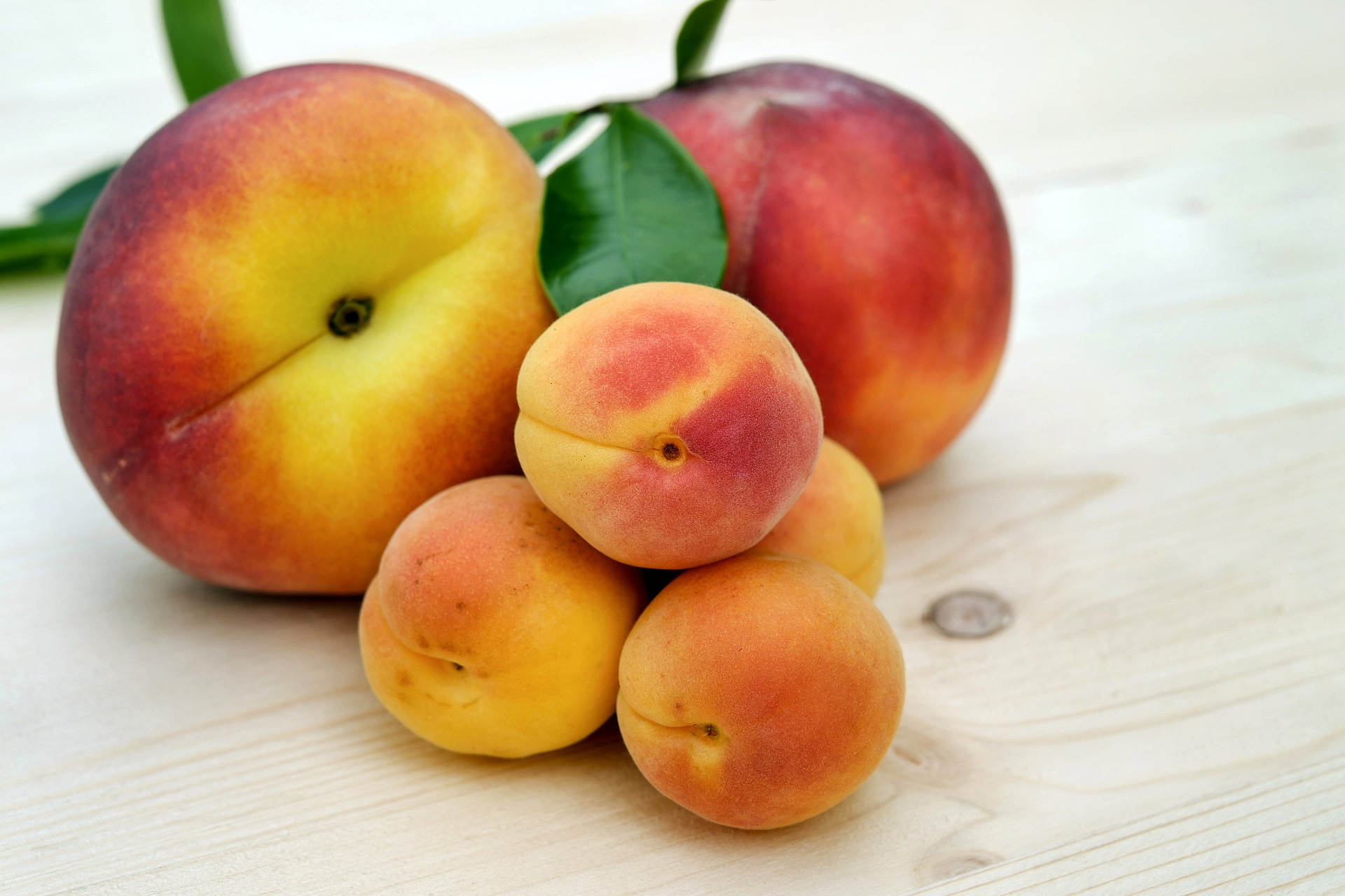 YELLOW PEACH PUREE CONCENTRATE
