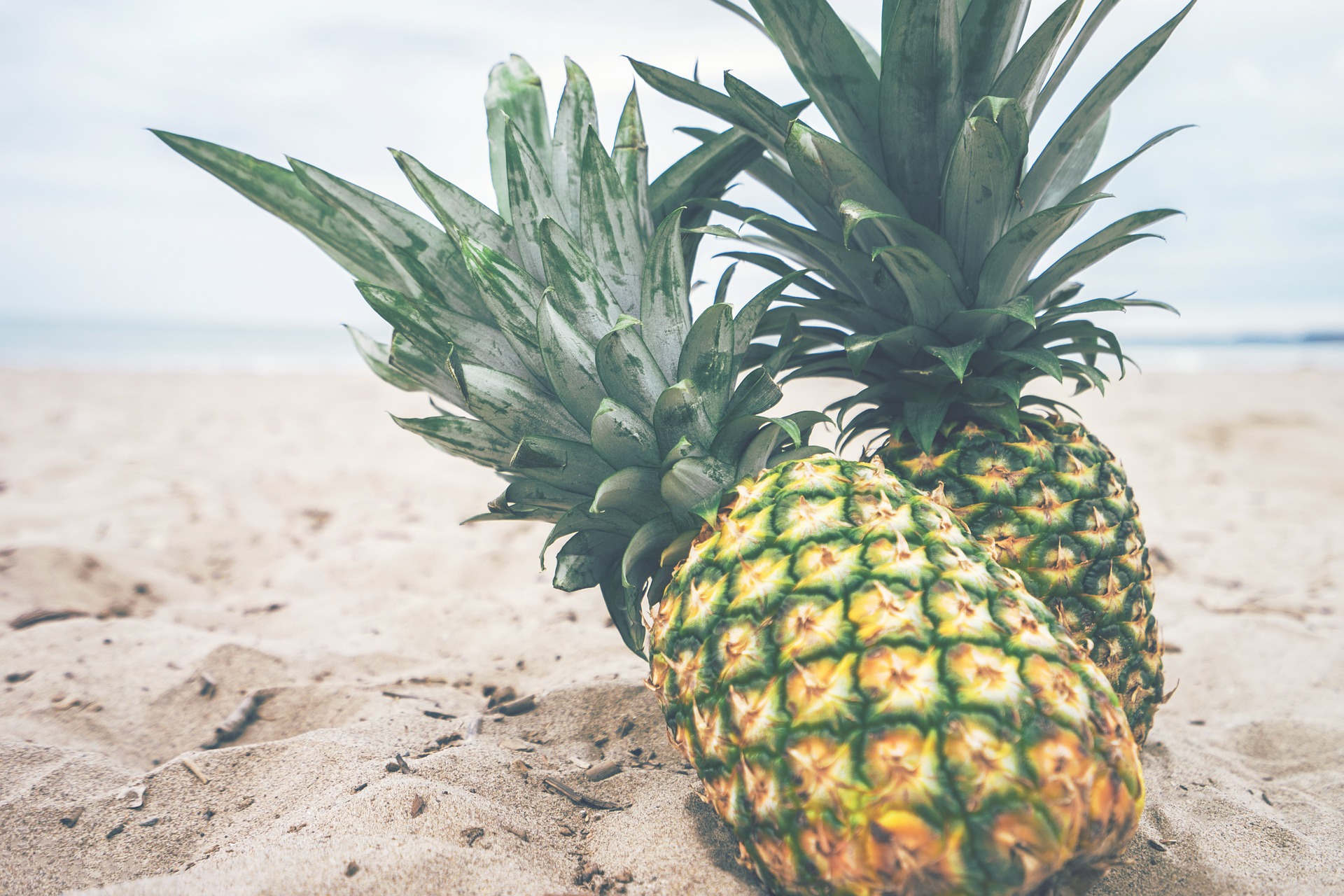 ASEPTIC PINEAPPLE JUICE CONCENTRATE