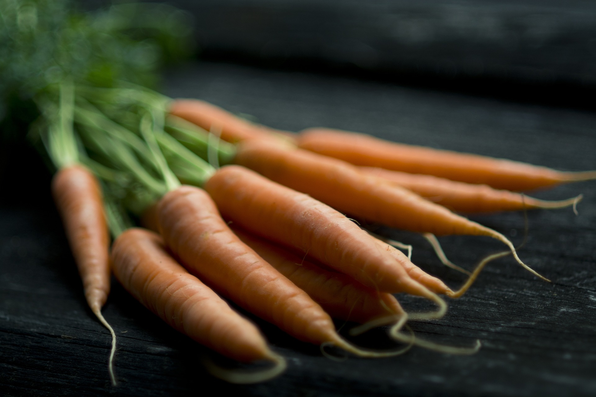 ORGANIC CARROT JUICE CONCENTRATE