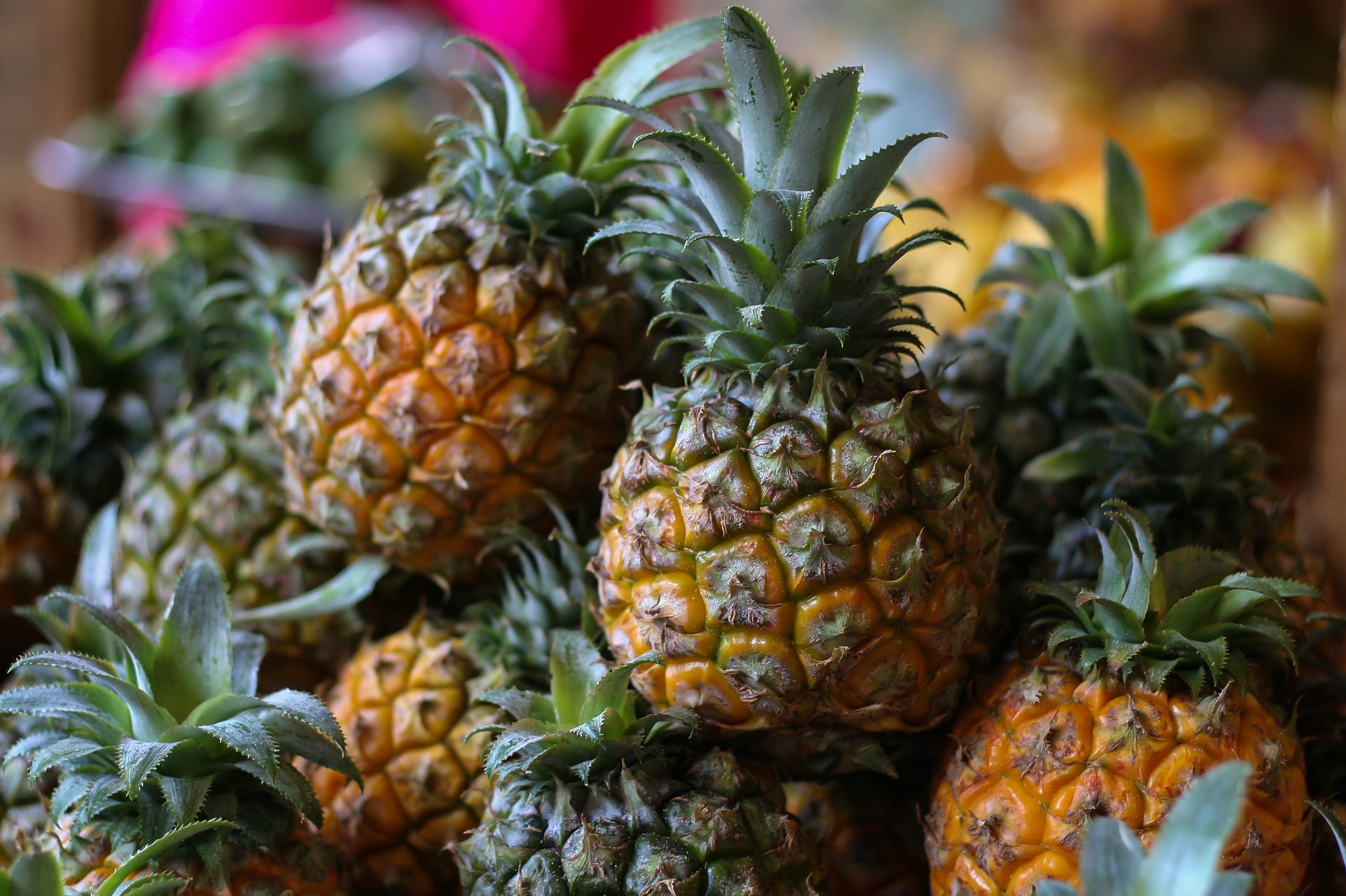 CANNED PINEAPPLE TIDBIT  